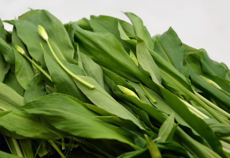 ベアラオホの束