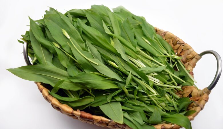 かごに入ったベアラオホ