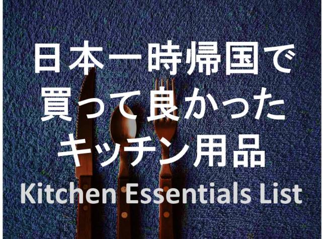 日本一時帰国で買ってよかったもの
