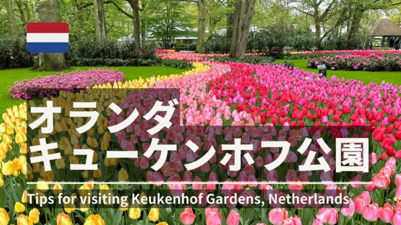 オランダのキューケンホフ公園チューリップ
