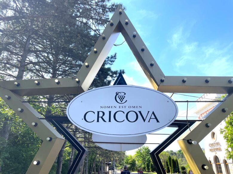 CRICOVAワイナリーの入り口の星型モニュメント