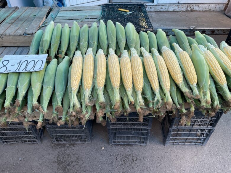 アルメニアの人は結構繊細?まるで日本のようにぴっちりと並べられたトウモロコシ