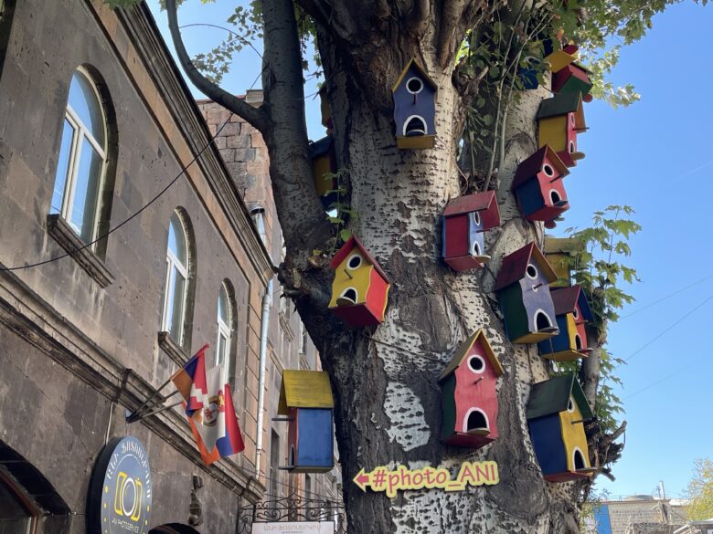 カラフルな鳥の餌箱がかけられた木の幹・ギュムリの旧市街地