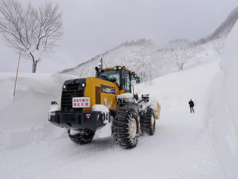 身長189cmのドイツ人夫が小さく見える雪の壁。酸ヶ湯温泉一帯の豪雪地帯